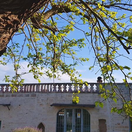 Podere Del Gelso Bianco, Vacation Rental Ostuni Exteriér fotografie