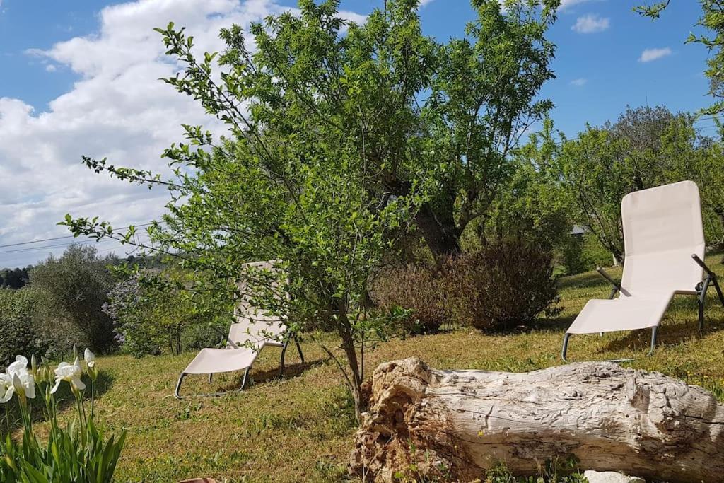 Podere Del Gelso Bianco, Vacation Rental Ostuni Exteriér fotografie